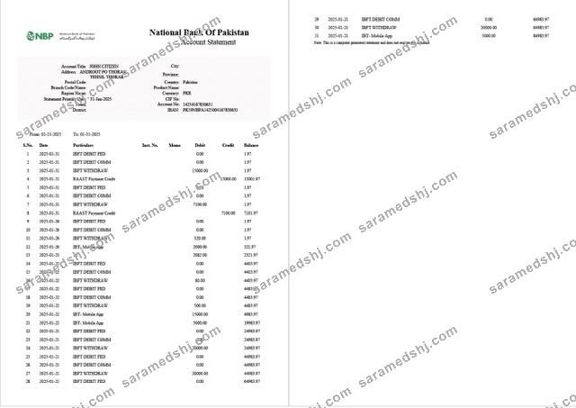 Pakistan National Bank of Pakistan account statement Word and PDF template, 2 pages